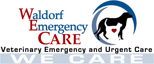 Waldorf Emergency Care